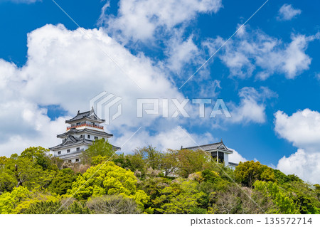 Saga Prefecture: Karatsu Castle in the Spring Green Season 135572714