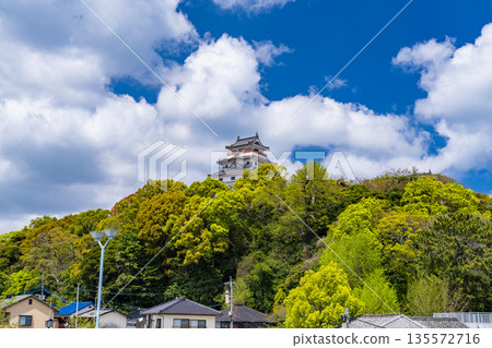 Saga Prefecture: Karatsu Castle in the Spring Green Season 135572716