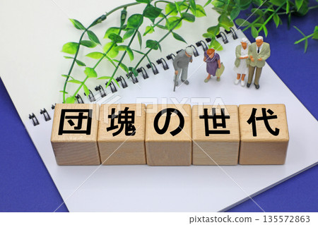 A block with the words "Baby Boomers" written on it A block with the words "Baby Boomers" written on it 135572863