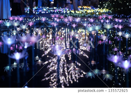 Illuminations at Ashikaga Flower Park 135572925