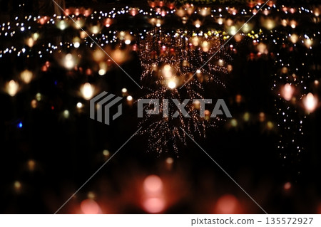 Illuminations at Ashikaga Flower Park Illuminations at Ashikaga Flower Park 135572927