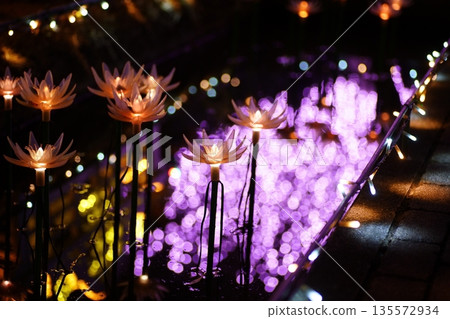 Illuminations at Ashikaga Flower Park 135572934