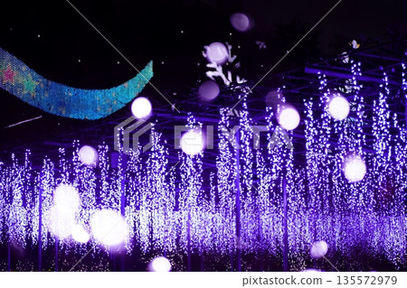 Illuminations at Ashikaga Flower Park 135572979