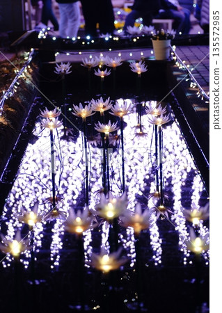 Illuminations at Ashikaga Flower Park 135572985