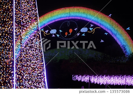 足利花公園的燈光秀 135573086