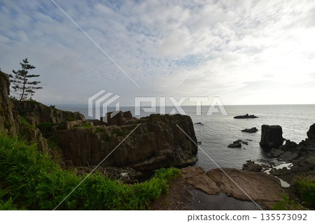The dynamic natural scenery of the columnar jointed rock faces of Tojinbo, a scenic spot in Fukui Prefecture, and the Sea of Japan. 135573092