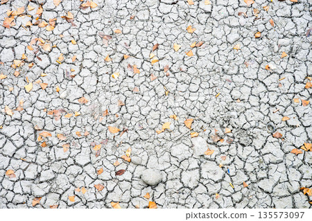 Dry cracked soil with fallen leaves in Chengdu Sichuan China Dry cracked soil with fallen leaves in Chengdu Sichuan China 135573097