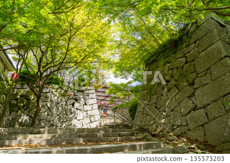 Stairs leading to Karatsu Castle, Saga Prefecture Stairs leading to Karatsu Castle, Saga Prefecture 135573203