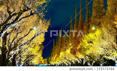 Illuminated ginkgo trees in Jingu Gaien Illuminated ginkgo trees in Jingu Gaien 135573384
