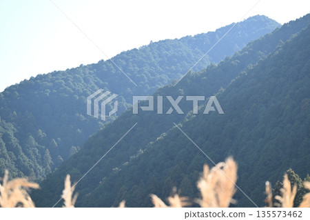 早春山脊線 135573462