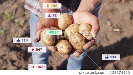 Showing hands in plaid shirt and blue jeans holding potatoes on farm, with social overlay icons Showing hands in plaid shirt and blue jeans holding potatoes on farm, with social overlay icons 135574100