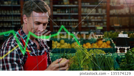 Checking man holding potato and examining green onions, herbs in produce section, copy space Checking man holding potato and examining green onions, herbs in produce section, copy space 135574129
