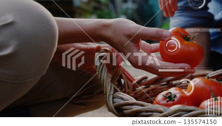 Couple's hands gathering ripe tomatoes from wicker basket on garden patio, with AR data Couple's hands gathering ripe tomatoes from wicker basket on garden patio, with AR data 135574150