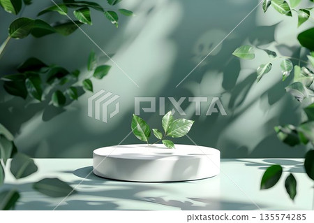 white podium with green nature leaves 135574285