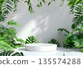 white podium with green nature leaves 135574288