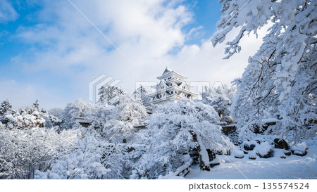 Gujo Hachiman Castle in the snow 135574524