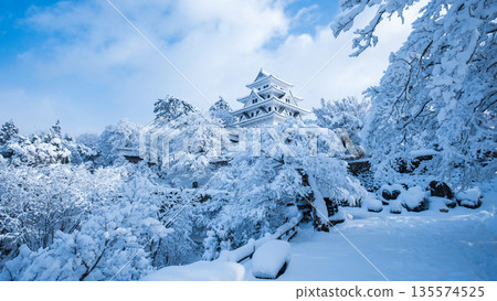 Gujo Hachiman Castle in the snow 135574525