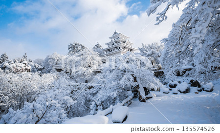 Gujo Hachiman Castle in the snow 135574526