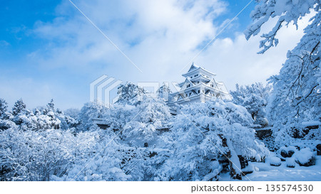 雪中的郡上八幡城 雪中的郡上八幡城 135574530