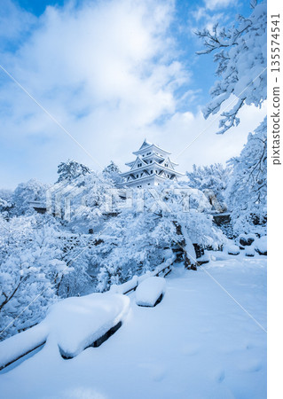 雪中的郡上八幡城 135574541