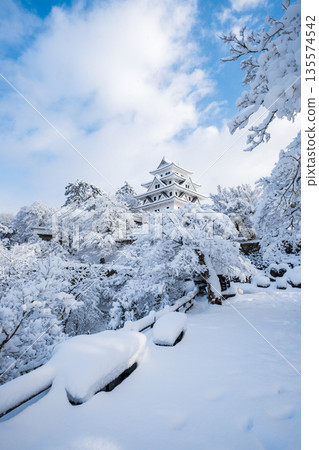 雪中的郡上八幡城 135574542