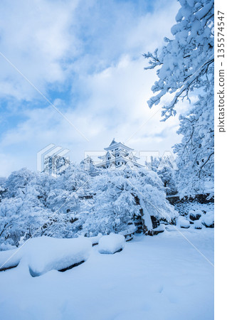 Gujo Hachiman Castle in the snow Gujo Hachiman Castle in the snow 135574547