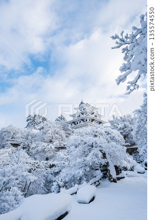 Gujo Hachiman Castle in the snow Gujo Hachiman Castle in the snow 135574550