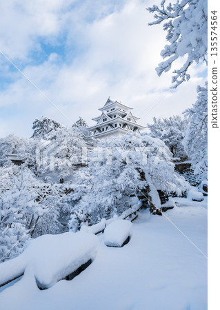 雪中的郡上八幡城 雪中的郡上八幡城 135574564