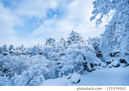 雪中的郡上八幡城 135574565