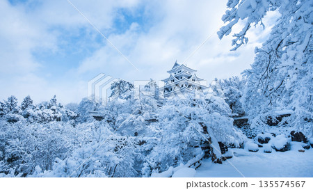 雪中的郡上八幡城 135574567