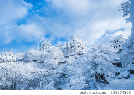Gujo Hachiman Castle in the snow Gujo Hachiman Castle in the snow 135574596