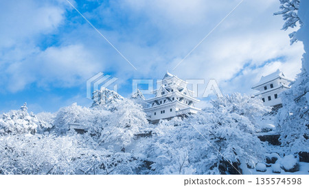 Gujo Hachiman Castle in the snow 135574598