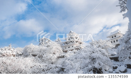 Gujo Hachiman Castle in the snow Gujo Hachiman Castle in the snow 135574599