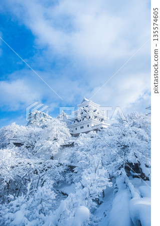 雪中的郡上八幡城 雪中的郡上八幡城 135574605