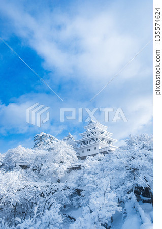 雪中的郡上八幡城 135574624