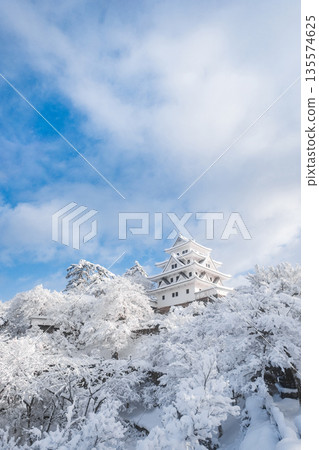 雪中的郡上八幡城 135574625