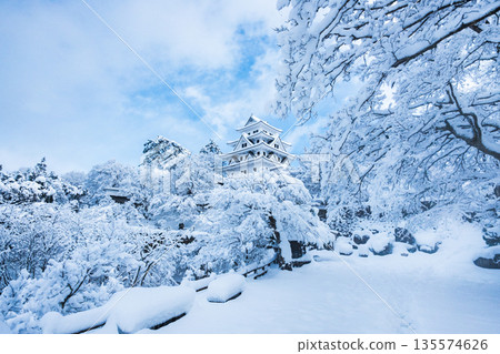 雪中的郡上八幡城 135574626