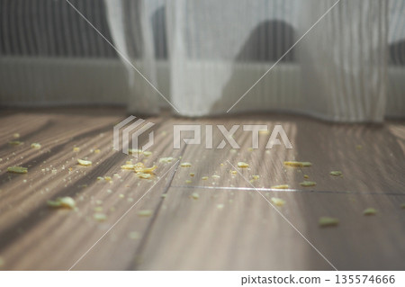 Light shines on crumbs on the floor near a curtain Light shines on crumbs on the floor near a curtain 135574666