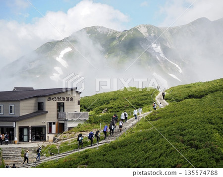 立山初夏景色 立山初夏景色 135574788