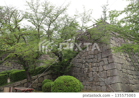 香川縣丸龜市丸龜城 135575003