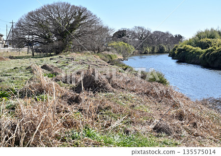 Walking in Koshigaya: Motoarakawa River, riverbed, Koshigaya City, Oaza Sannomiya 135575014