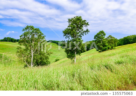 沿著北海道東部清裡的星風山散步 135575063
