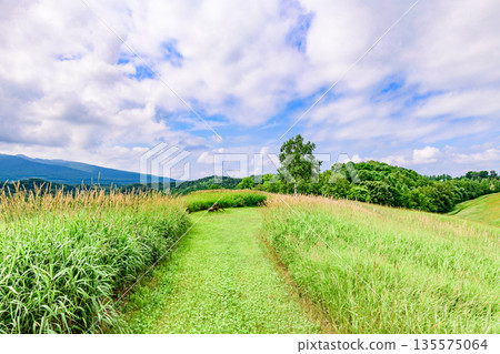 沿著北海道東部清裡的星風山散步 135575064