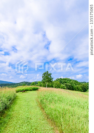 沿著北海道東部清裡的星風山散步 135575065