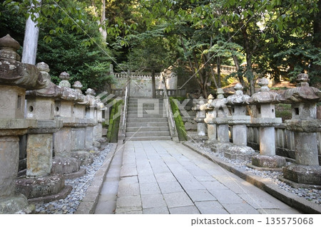 久能山東照宮、靜岡縣、駿河、中央無線電塔、日本平數字塔 135575068