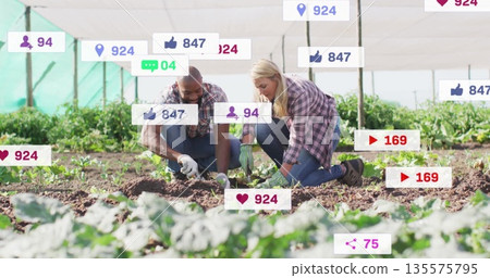 Gardeners in plaid shirts and gloves planting seedlings in greenhouse, with floating social icons Gardeners in plaid shirts and gloves planting seedlings in greenhouse, with floating social icons 135575795