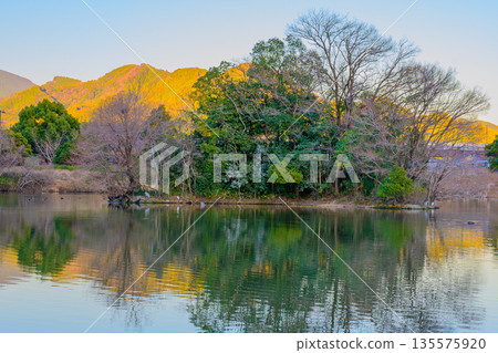 阿薩哈特池塘的平靜倒影,靜謐的水面倒映著天空。 阿薩哈特池塘的平靜倒影,靜謐的水面倒映著天空。 135575920