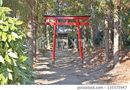 Walking around Koshigaya: Ichijo-in Temple, Chizan-ha Shingon sect, Koshigaya City, Oaza Sannomiya Walking around Koshigaya: Ichijo-in Temple, Chizan-ha Shingon sect, Koshigaya City, Oaza Sannomiya 135575947