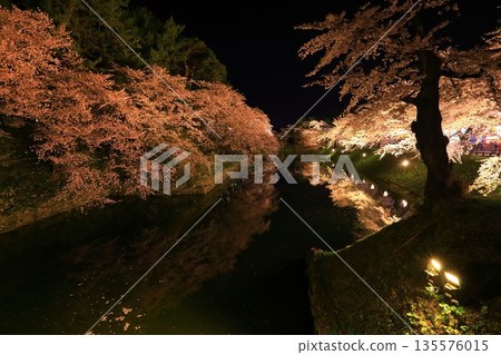 Cherry blossoms at night Cherry blossoms at night 135576015