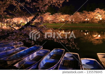 Cherry blossoms at night Cherry blossoms at night 135576045